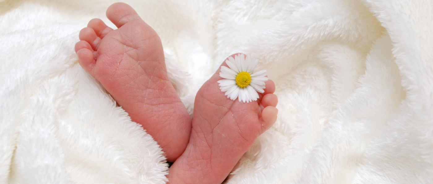 Lizenzfreie Quelle, heruntergeladen von www.pexels.com